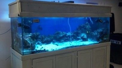 5Le5N95G13G43L33Nac7c2097759fee62130d