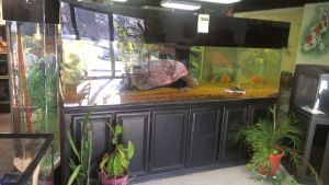 3E13G73I95I85Nd5Kacbsa1fc8c802bd7196e