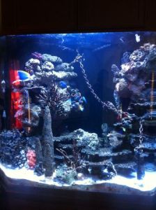 3E73m03Me5Le5Kf5Hdcar585195a7ba7f19fb