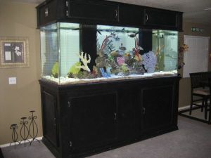 3E93J53N35I95F95Hacc84a33440b7c871d10