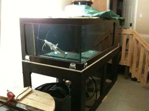 3G53Jc3Ne5Ic5Gb5H8cc23fa80ebb9d50179f