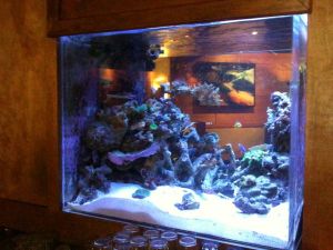 3G83Jd3H55I25Ee5X0cbq2237cbbfeb9c1524