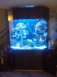 3Gb3F83N15L65V35Eccar7ee2c04f5d591de3