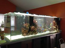 3Gc3F73N85L85Ic5F4ccp5e538bd62f2d1360