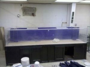 3Gf3Mb3Lb5Gd5E75M5carb6da89183c171ee0