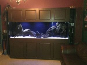 3Lf3Fd3H35La5Ib5M8cbgba03e44cd2ce14ab