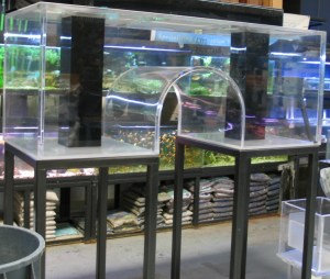 $(KGrHqN,!rMFB6r4miIcBQ)Pb,G5Fw~~60_57