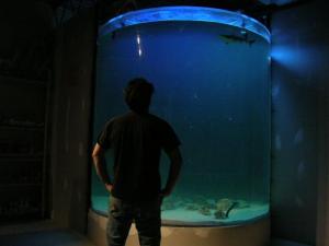 $(KGrHqV,!jMFC1oDTmeKBQ2ywV0cow~~60_3