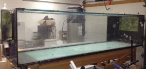 3E33If3Hb5I75La5M3d1h2ba3093d9d3316f0