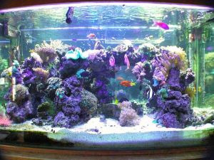 3E53G73N85I35Ne5K8ccgc647c3dc6d0e1d82