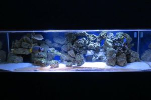 3E53Kb3M75Ld5Ge5H4cc2d67f3d28d0dc1d35