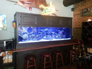 3E83ma3H25Id5Ka5H7d11d5ce43ca08ca1f39