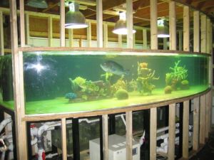 3Eb3M13N55N25G65E6cbt04179f5ba91f1491