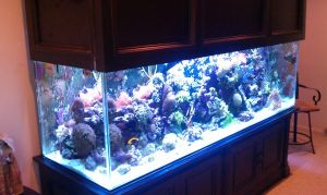 3Ec3G93M85N25H35Mcd1c92765bad46ca1d82