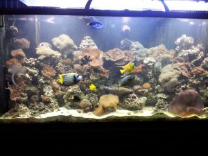 3Ec3Kf3Gc5I95L35Z2cce3b053d391bfa1608