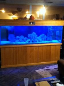 3Ee3Gb3o55L65G45Feccf7ff2353bfe5a1dfc