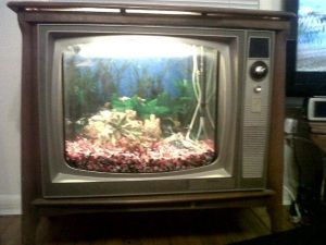 3Ef3G53J65G45K65J8d1m727bcb82ff7a1729