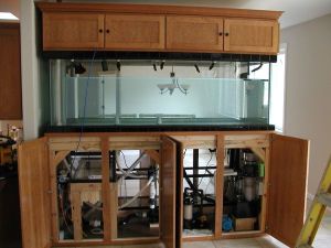 3G33Ma3F45G65F55Haccl123ee31bee9a14ba