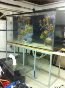 3Gc3M53F35F55Hf5J4d171da4988e7703154d