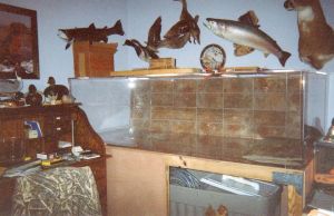 3Gc3ma3Ha5V05E35Fcccf798fc0d4bd181158