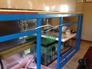 3Gd3Md3J85O25Kf5Jbcbm88f142310ce91550