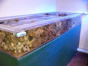 3I13pf3H35Lc5Ea5F5d1332330506c0961c0e