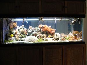 3Ie3Ne3He5L95Kb5M6ccl5178edb14a611d28