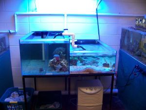 3K23Fd3He5Nb5I15Mfd13f1dfae725941143e