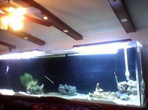 3K23I13L75L75Nb5I2cccf85d598dfeec1bd3