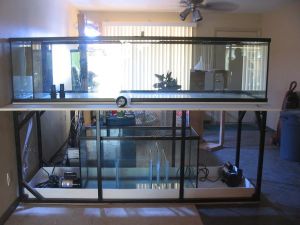 3K33N63Hd5Nc5T65E3cc1c5b53896b07e1799