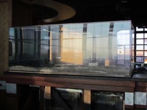 3k43K53J85N25Fd5J5cbgdb249ecfef991ed1