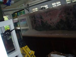 3K53G63N95N65Ma5S1d11739f87caee4117b0