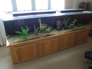 3K53L33p45G25Ec5Hcccp3e189c58a1311173