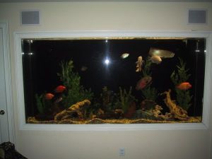 3K73Mb3Jc5G45E75Kad1jcd32ef49c6e7108f