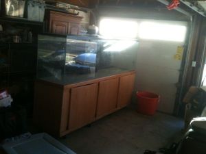 3K93Lc3N45L45Gd5J3d1h213dfa67f22e18f0