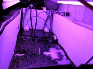 3Kb3M33N95F35Hf5X4ccgdea6504d9d921ced