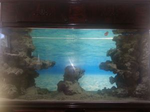 3Kc3I43Fc5N65K45Jfd1g8e6bb86ac704113d