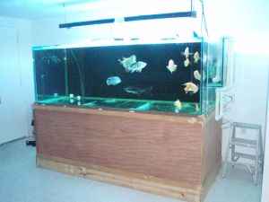 3La3M33Ia5K35F35R1d180ba195c2b1ff129a