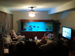 3M33N73oa5Lb5E85J9cc7157e684d236e1ab3