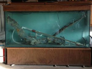 3Mc3Ic3N45Nb5L75F6d1u2908e8bb63721b71