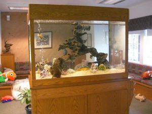 3n63Gb3Le5N55Ea5F8d1fe44097147be31967