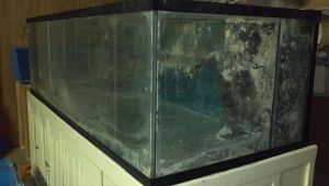 3E93G43M35L15Ne5Efd1fa407d0dfbcdd1ce9