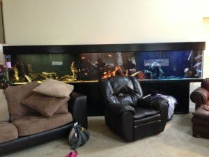 3Ea3I83Hc5G85Kc5M7d1h7bbcff191cd81389