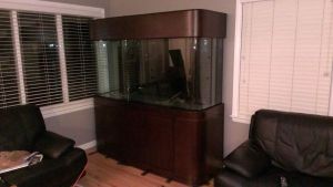 3Ed3of3H95Ib5Fc5J2d2p5910570ccb391809