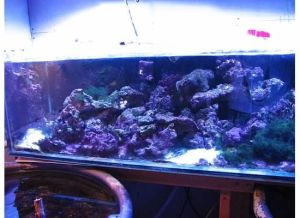 3Ee3Ie3Jc5E25Mb5Jfd1f608d79b5c817105b