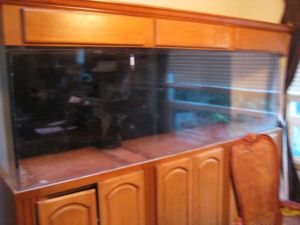 3E13Jb3N75N75E75M3d2l15e51f283fc51a22