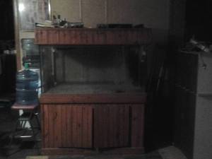 3E43Kc3Lf5L95E95M2d32f0dfa76329521a2a