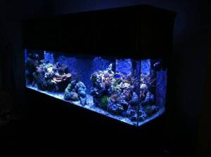 3G33Lb3pc5Ea5F45Hbd2sf38beac6962d180d