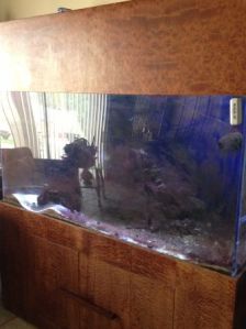 3G83J23Na5I95Ef5H1d2843ae9d82d8ac1188