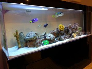 3Gb3L13M45Ia5G55Jcd1u43aa738af9b71af0